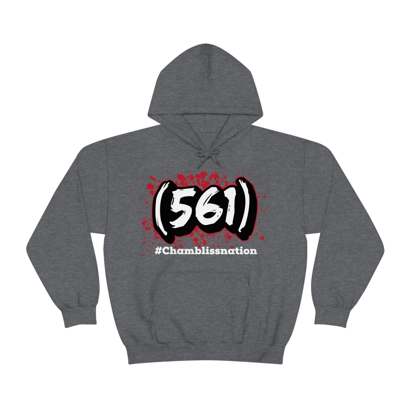 Area Code 561 Hoodie