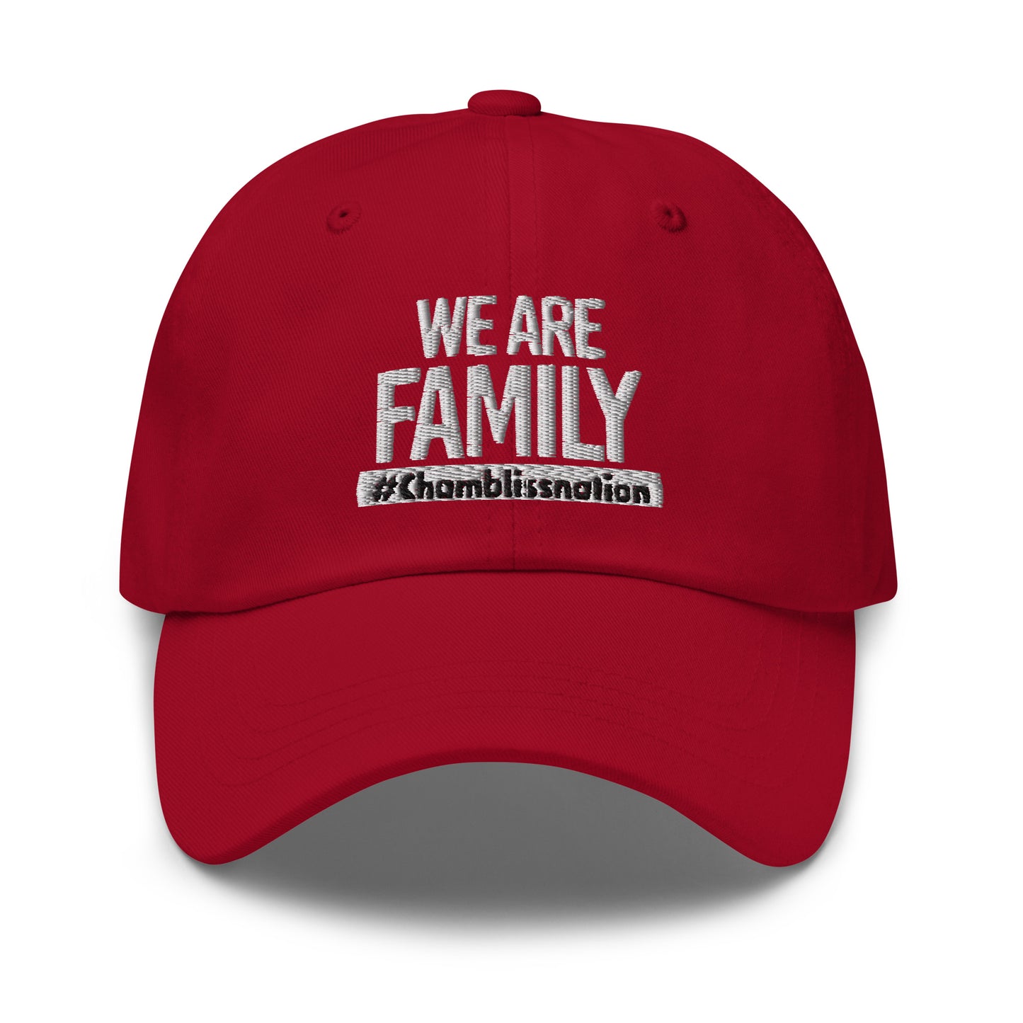WE ARE FAMILY Dad Hat