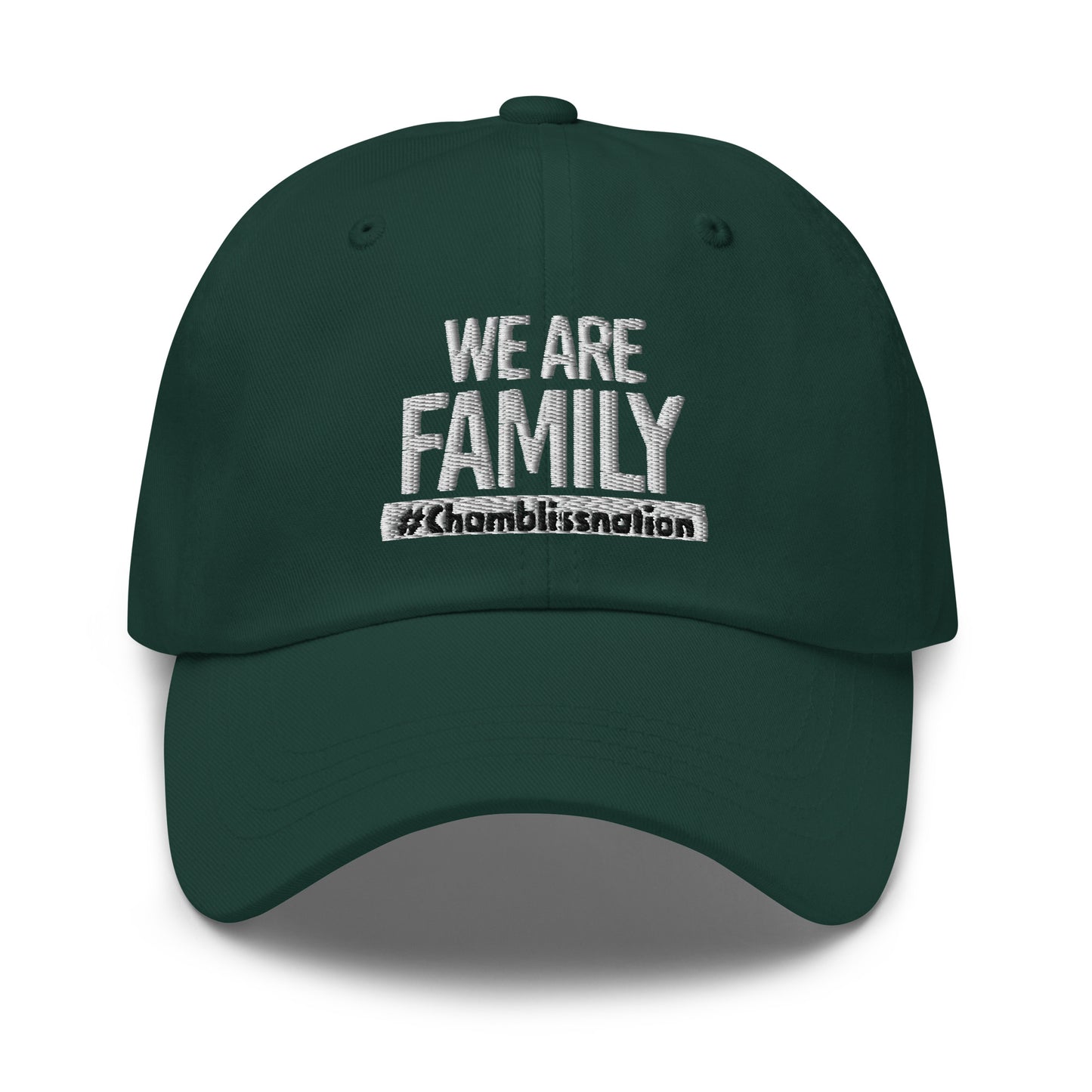 WE ARE FAMILY Dad Hat