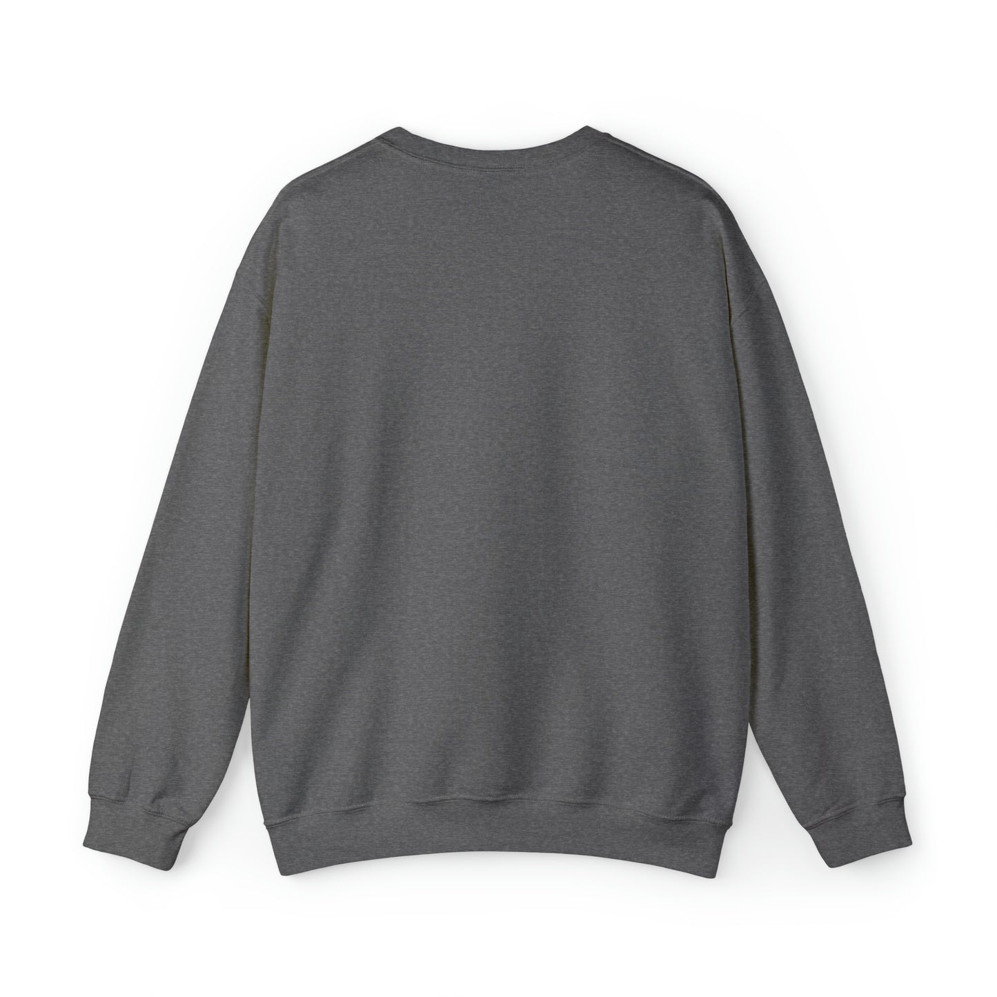 CN Cheetah Sweatshirt