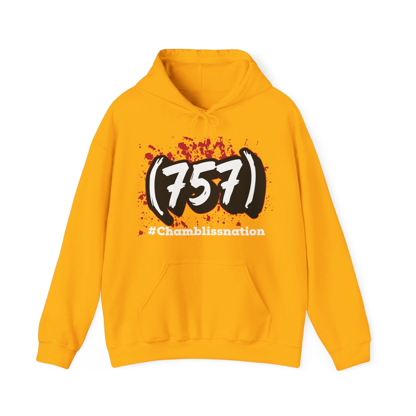 Area Code 757 Hoodie