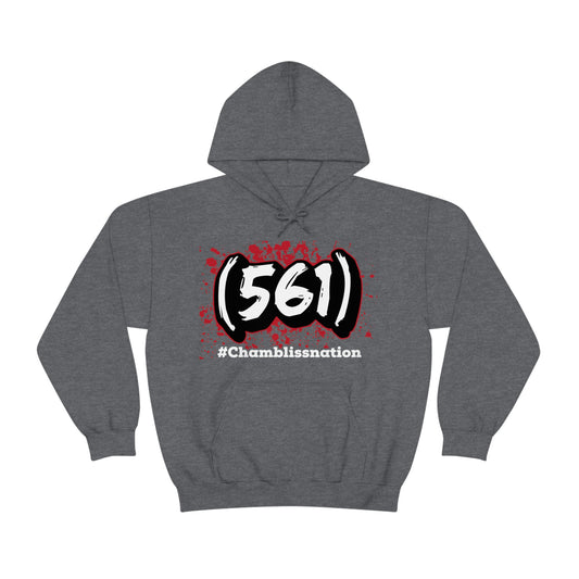 Area Code 561 Hoodie